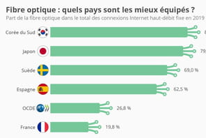 Coronavirus&nbsp;: la fibre trop peu d&eacute;ploy&eacute;e pour soutenir le t&eacute;l&eacute;travail